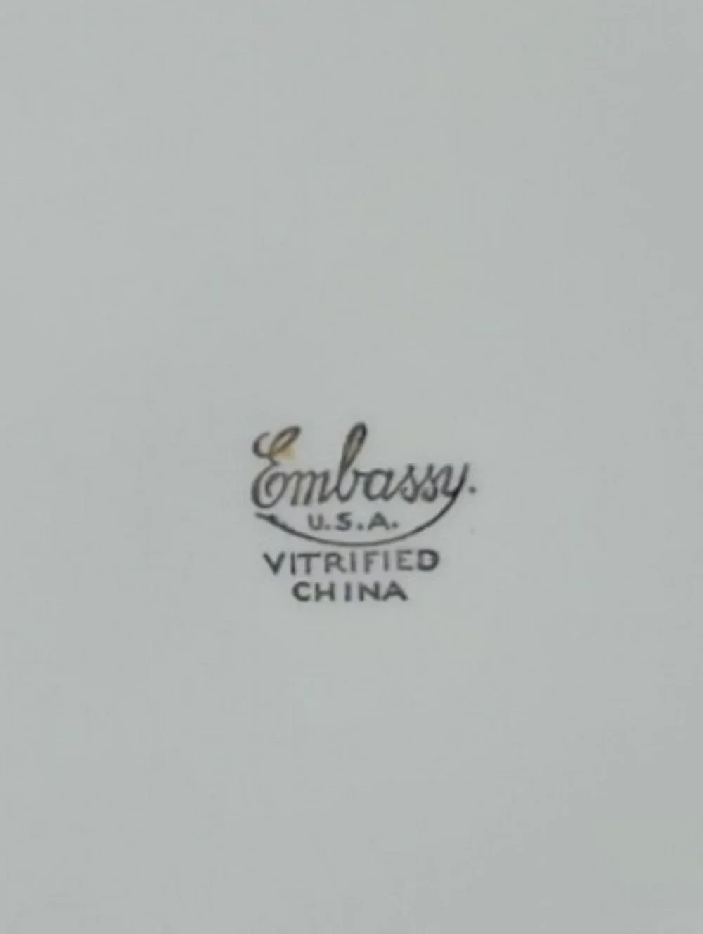 Vtg Dinner Plate EMB7 by Embassy (American) 10 3/8